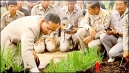 พระราชกรณียกิจ รัชกาลที่ ๙ “โครงการปลูกหญ้าแฝกเพื่อรักษาหน้าดิน” 